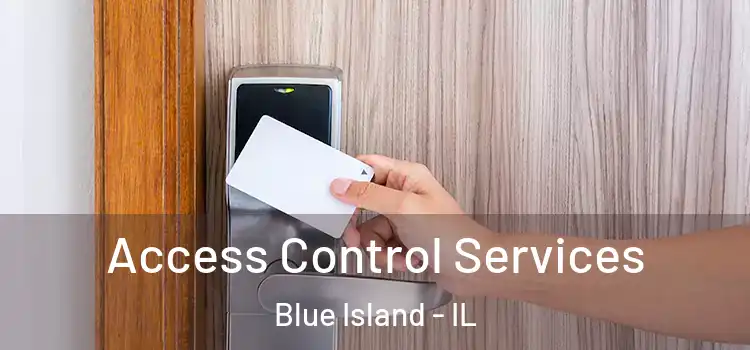  Access Control Services Blue Island - IL