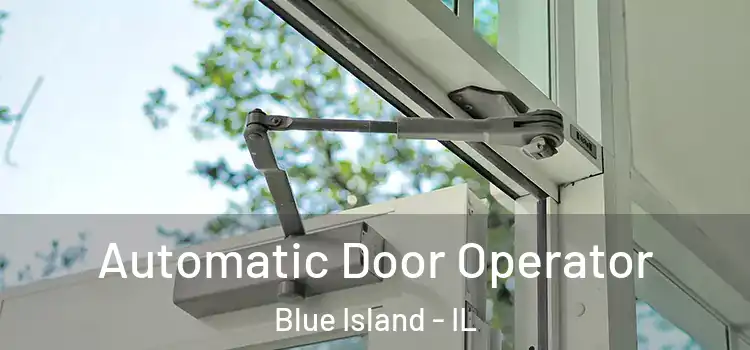 Automatic Door Operator Blue Island - IL