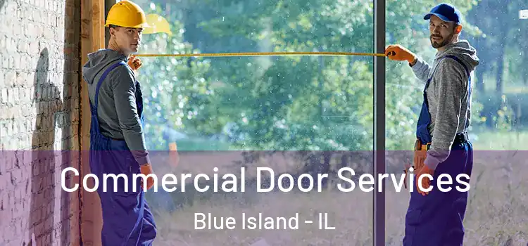 Commercial Door Services Blue Island - IL