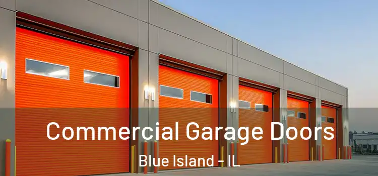  Commercial Garage Doors Blue Island - IL