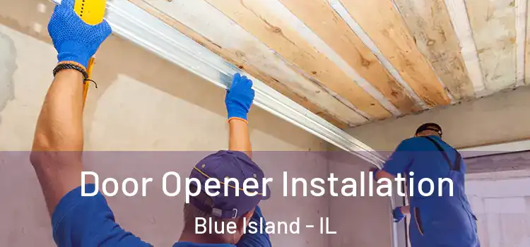 Door Opener Installation Blue Island - IL