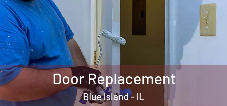 Door Replacement Blue Island - IL