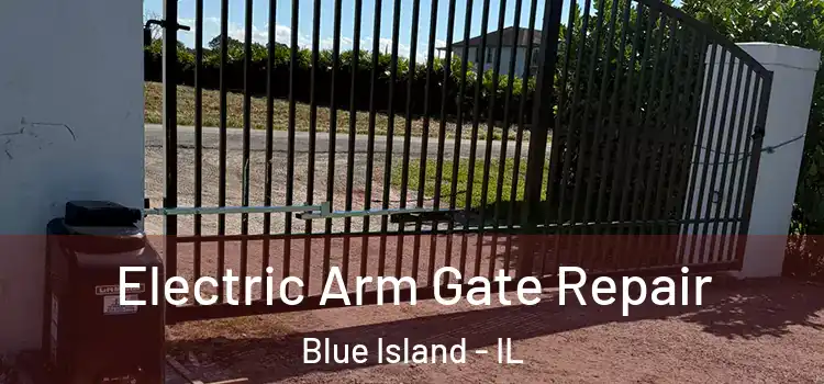 Electric Arm Gate Repair Blue Island - IL