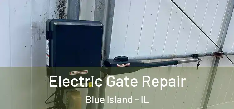 Electric Gate Repair Blue Island - IL