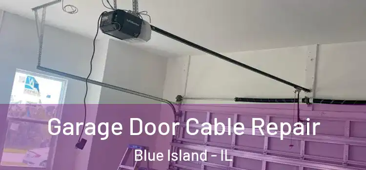  Garage Door Cable Repair Blue Island - IL