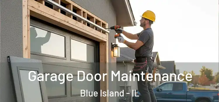 Garage Door Maintenance Blue Island - IL