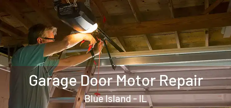  Garage Door Motor Repair Blue Island - IL