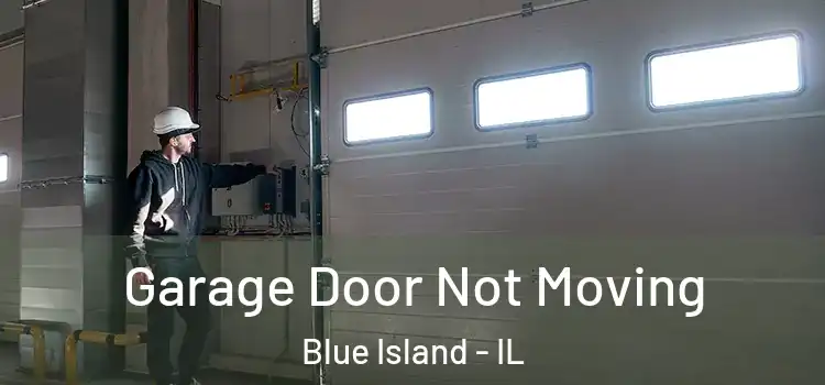  Garage Door Not Moving Blue Island - IL