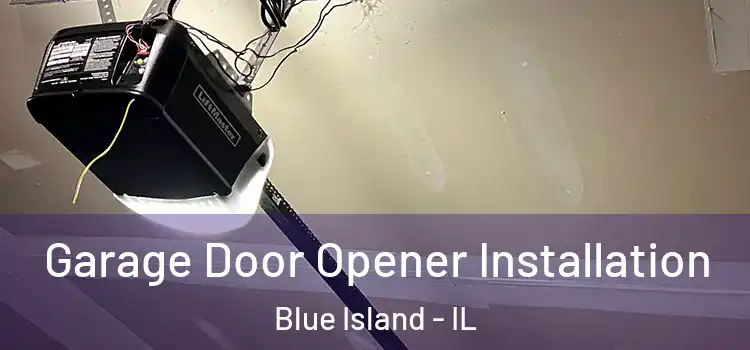  Garage Door Opener Installation Blue Island - IL