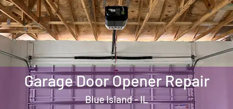  Garage Door Opener Repair Blue Island - IL