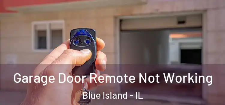  Garage Door Remote Not Working Blue Island - IL