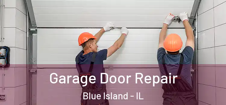  Garage Door Repair Blue Island - IL