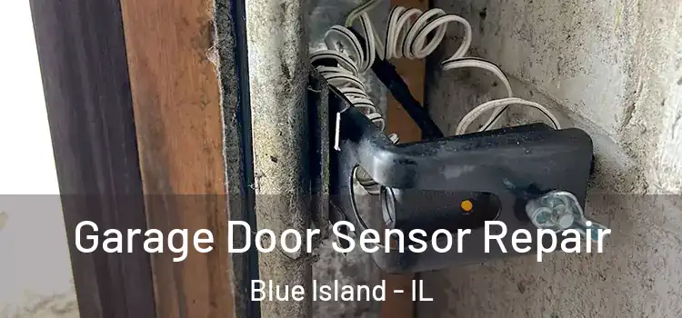 Garage Door Sensor Repair Blue Island - IL