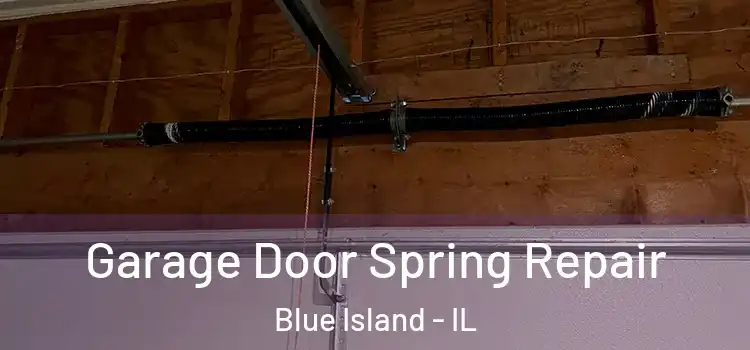  Garage Door Spring Repair Blue Island - IL