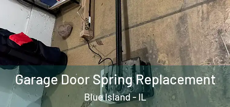 Garage Door Spring Replacement Blue Island - IL