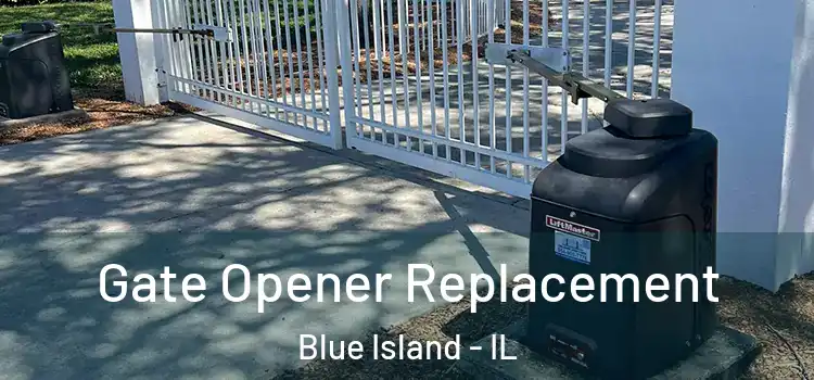 Gate Opener Replacement Blue Island - IL