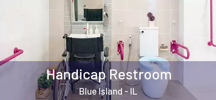 Handicap Restroom Blue Island - IL