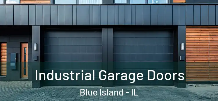  Industrial Garage Doors Blue Island - IL