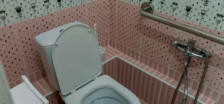 Meeting Diverse Needs With Accessible Restroom Solutions in Blue Island, IL