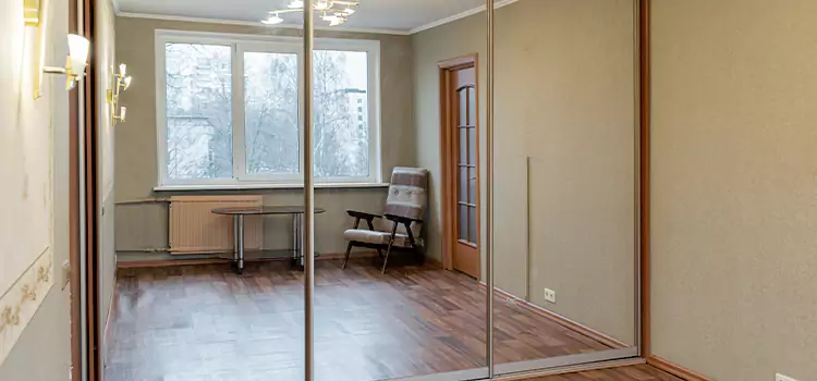 Mirror Closet Door Roller Replacement Blue Island