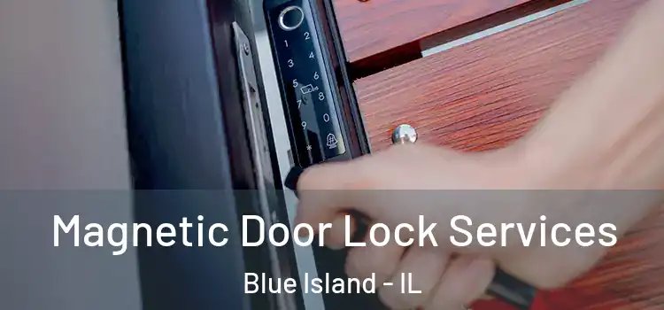 Magnetic Door Lock Services Blue Island - IL
