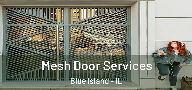 Mesh Door Services Blue Island - IL