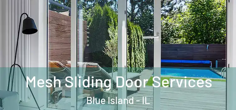 Mesh Sliding Door Services Blue Island - IL