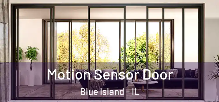 Motion Sensor Door Blue Island - IL