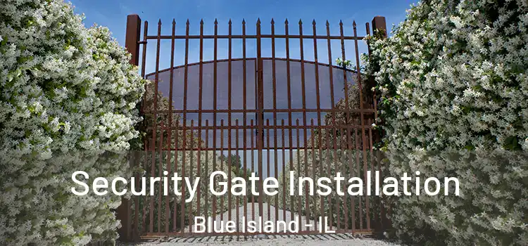  Security Gate Installation Blue Island - IL