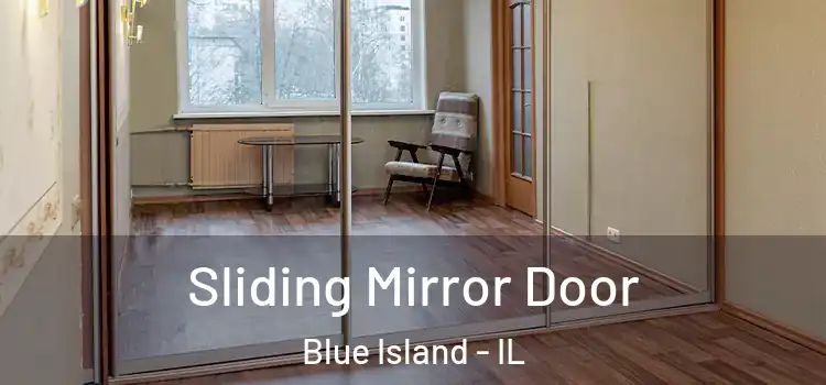 Sliding Mirror Door Blue Island - IL