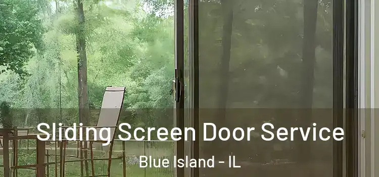 Sliding Screen Door Service Blue Island - IL