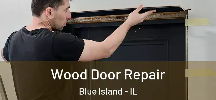  Wood Door Repair Blue Island - IL